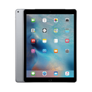 iPad Battery Replacement