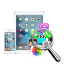iPad Data Recovery